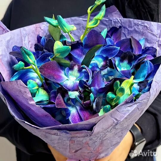 Букет из Орхидеи Дендробиум