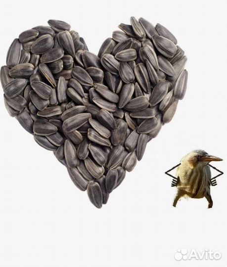 Семечки подсолнечника для птиц и грызунов 1 кг