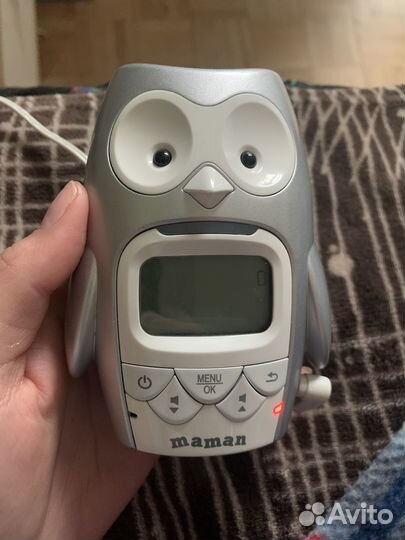 Сова ночник