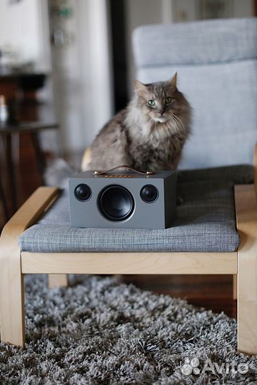 Портативная акустика Audio Pro Addon T3+ Grey