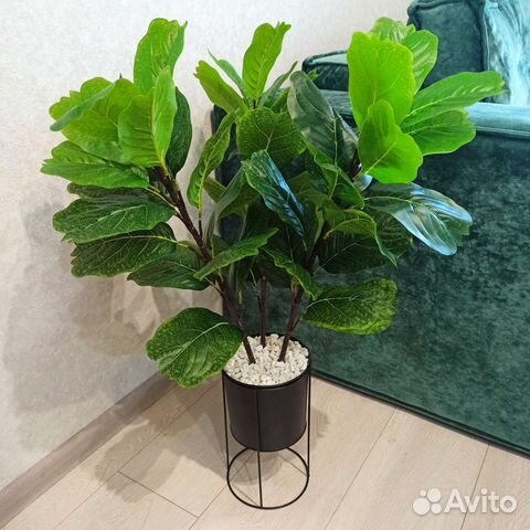 Искусственное дерево фикус, манго, бамбук, пальма купить в Омске ...