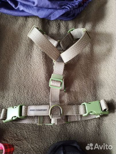 Товары для собак