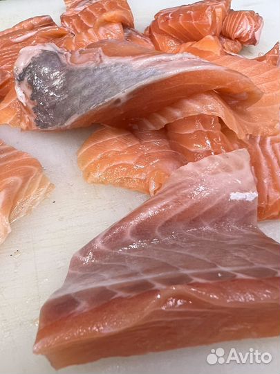 Лосось (Семга)