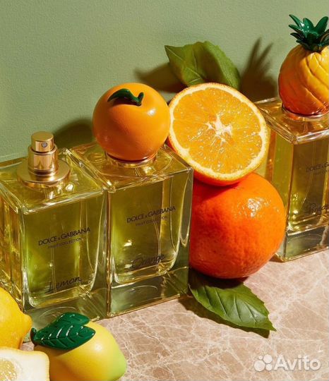 Dolce & Gabbana Orange