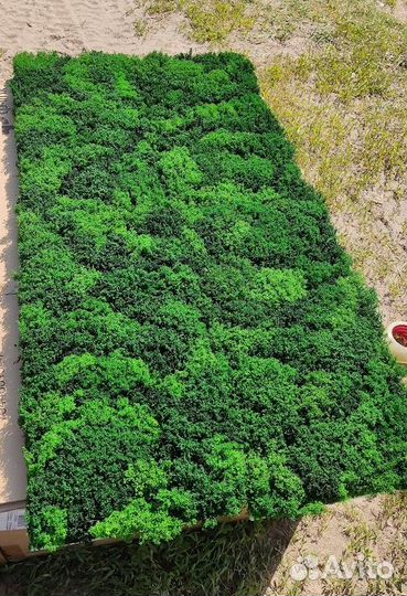 Ягель кочки мох стабилизированный