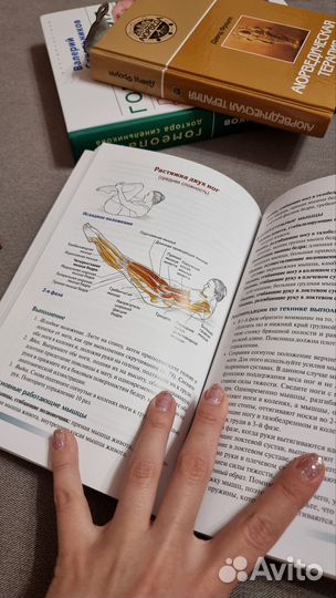 Книга Анатомия пилатеса