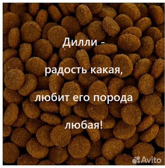 Сухой корм для собак, Дилли 14 кг