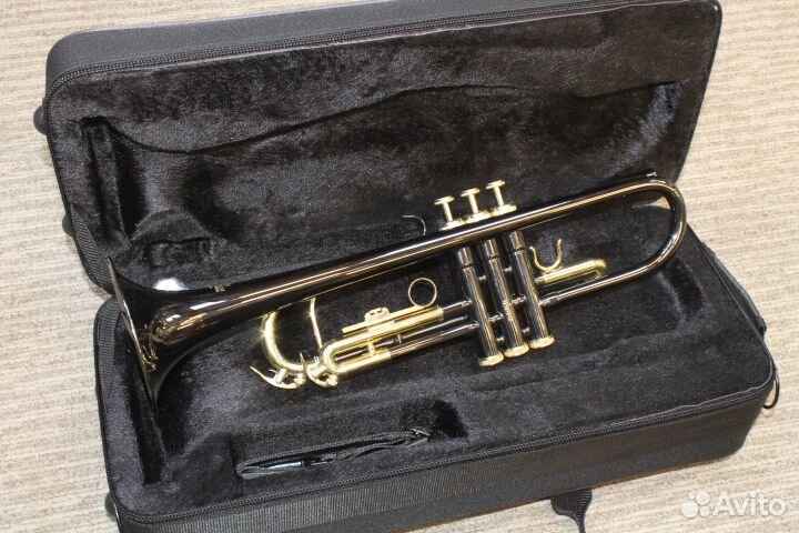 Труба Roy Benson TR-101K