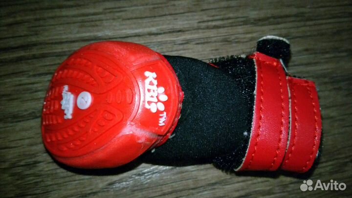 Ботиночки для маленькой собачки