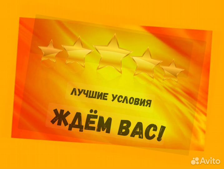 Комплектовщик Спецодежда Еженедельный аванс М/Ж