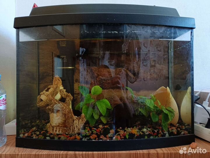 Аквариум 60л
