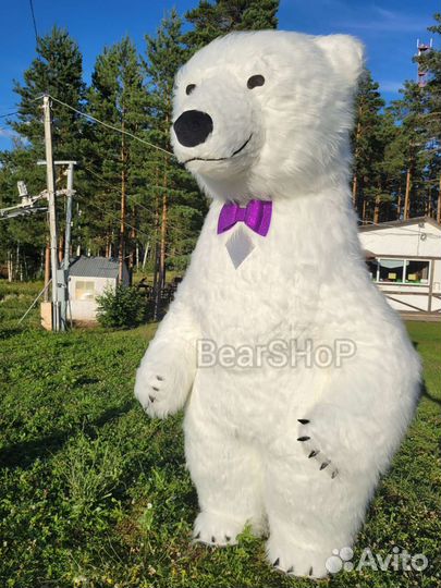 Аэро костюм Ростовая кукла