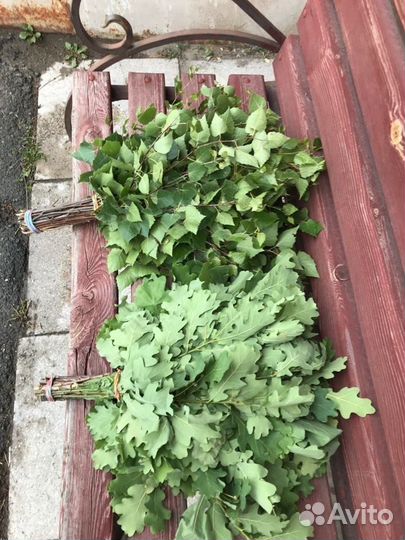 Веники для бани берёза, дуб, липа, пихта