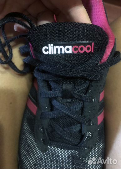 Кроссовки женские adidas climacool р.39