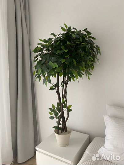 Искусственное дерево Фикус