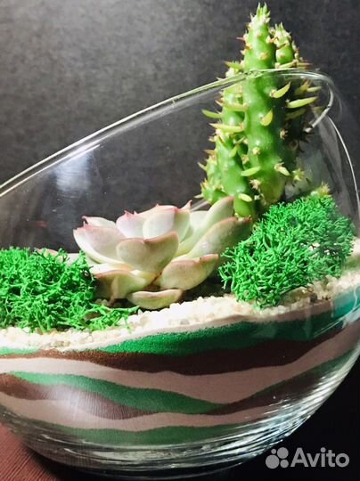Флорариум с суккулентами