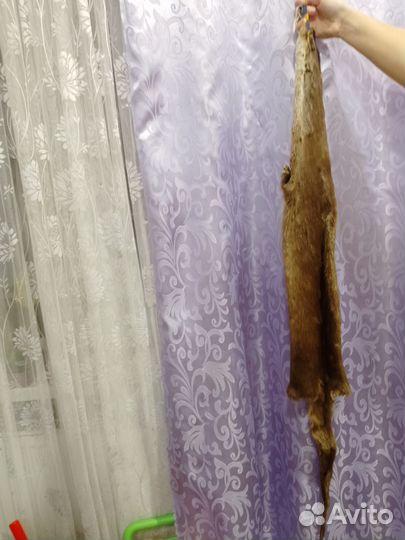 Шкуры Бобра. Енота