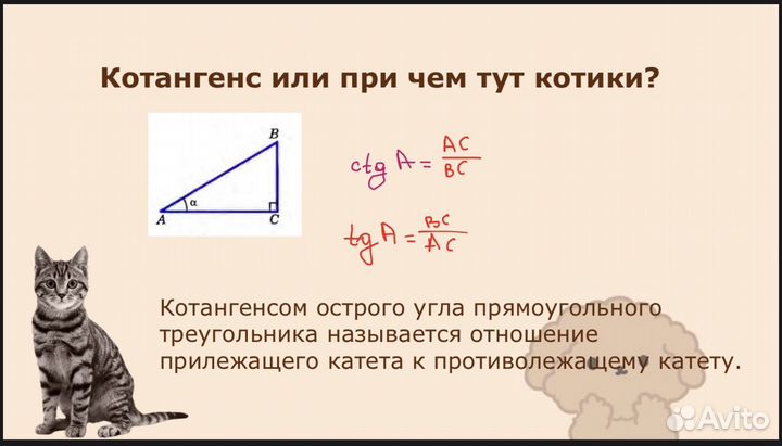 Подготовка к ОГЭ и ЕГЭ по математике летом