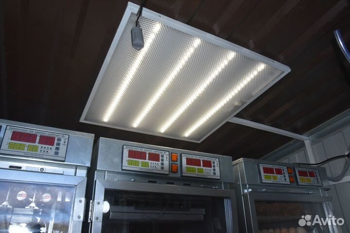 Инкубаторий с оборудованием в комплекте