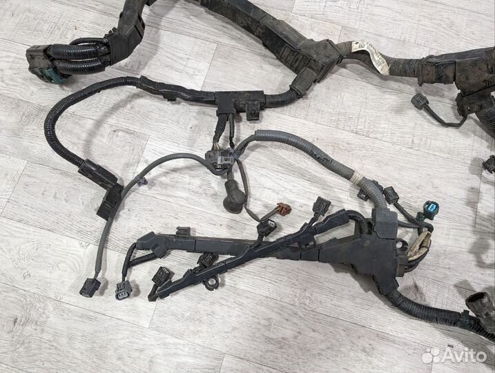 Проводка двигателя (коса) 2.4 K24W9 Honda CR-V 4