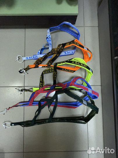 Шлея ездовая для собак