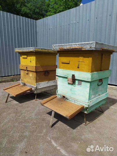 Улей для пчел