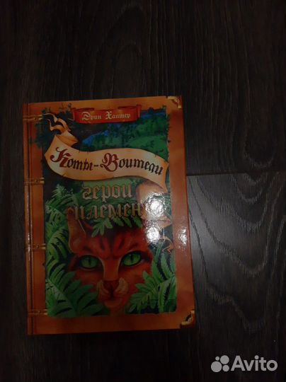 Коты-воители 