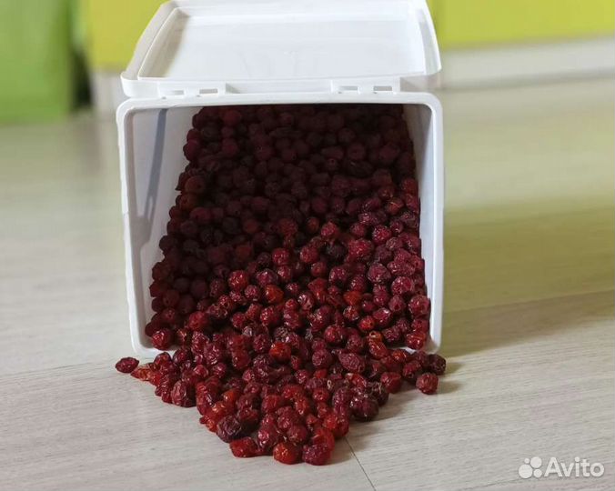 Шиповник сушеный сбор август сентябрь 2023