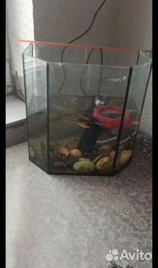 Продам аквариум 10 л