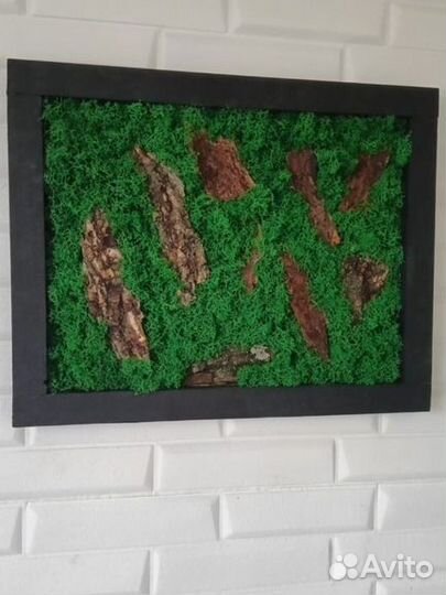 Мох.Картины со стабилизированным мхом и корой