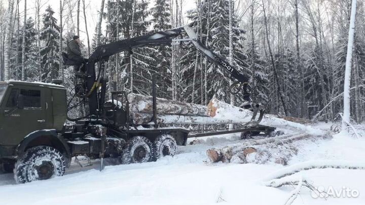 Срубы из зимнего леса