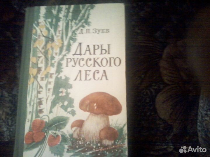 Дары русского леса Д.П Зуев 1966 год