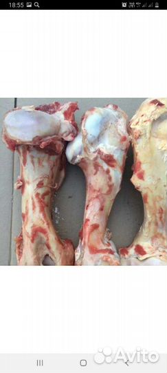 Продаю Говяжьи Кости