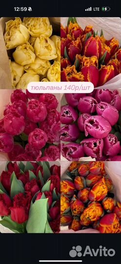 Тюльпаны