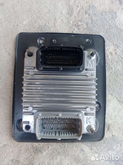 Блок управления двигателем Эбу на Део Нексия 8 кл