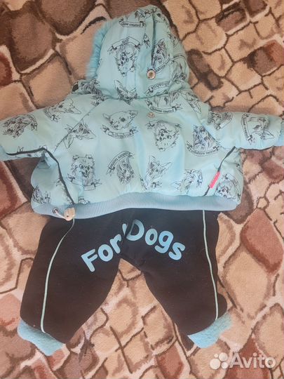 Комбинезон для маленькой собаки