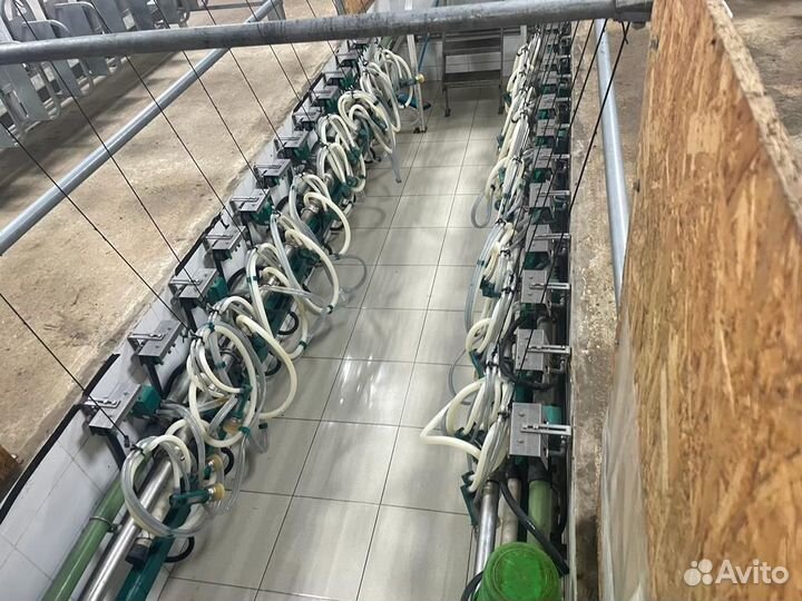 Доильный зал GAE 2Х12 (24) (Немецкое) с танкером 1