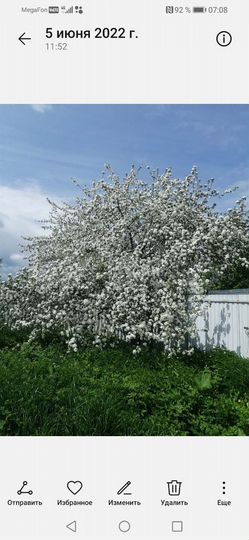 Участок 10 сот. (ИЖС)