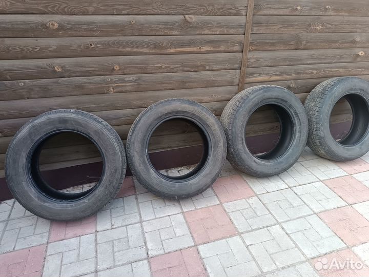 Bridgestone Blizzak DM-V1 265/60 R18 и 260/60 R18 110H