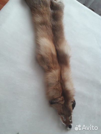 Лисья шкурка