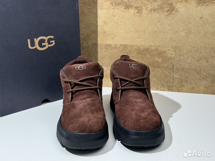 Ботинки зимние Ugg Burleigh Chukka Dusty Cocoa