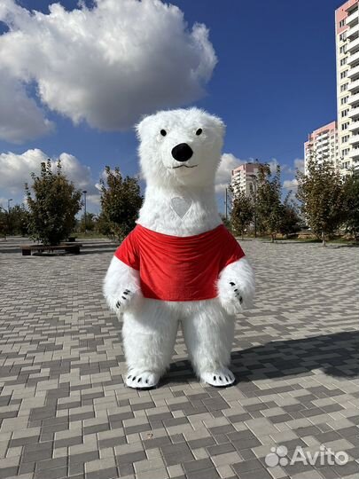 Одежда для аэромедведей