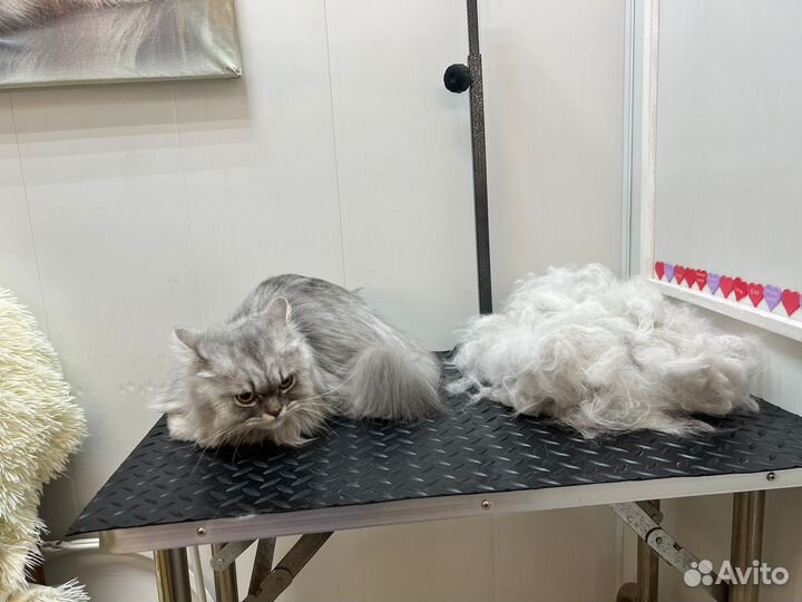 Груминг собак,кошек