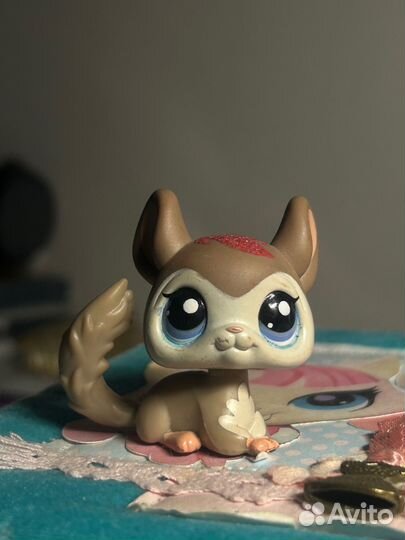 Littlest pet shop