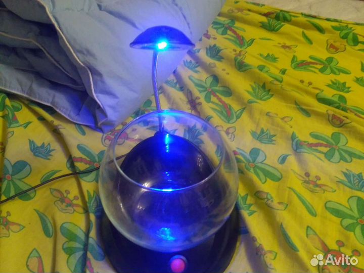 Аквариум для рыб