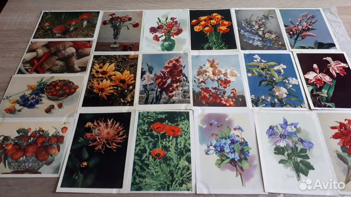 Открытки СССР разные темы 1949-1968 гг