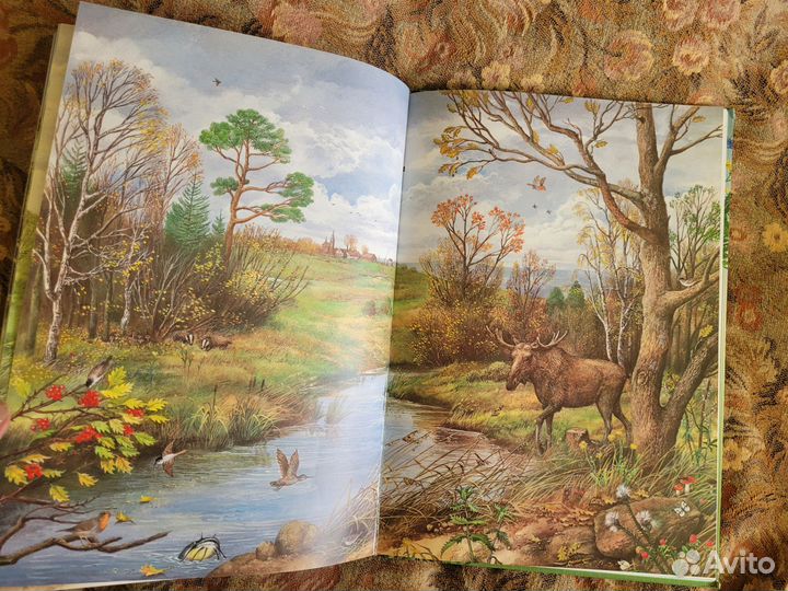 Книга детская энциклопедия Атлас времена года