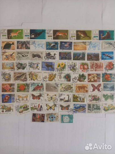 Марки СССР Флора и Фауна