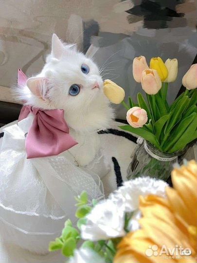 Одежда пакетом