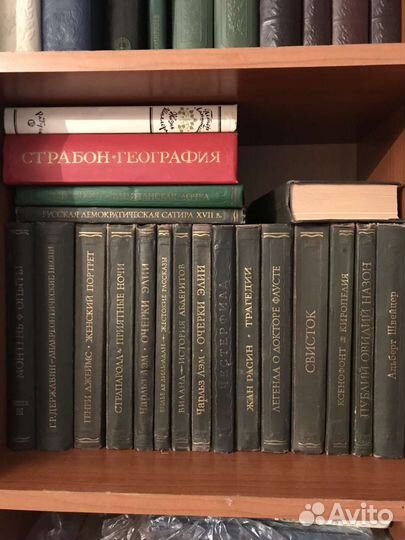 Литературные памятники. (Академия наук СССР)